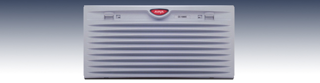 Avaya Communication Server 1000 CDR Report - PBXDom